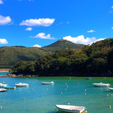 Sokaire De Urdaibai Junto A Mundaka Daire Sukarrieta Dış mekan fotoğraf